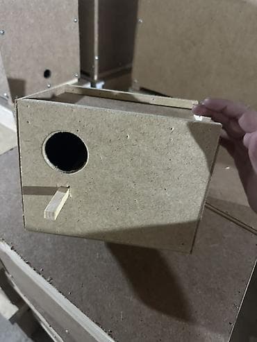 Үй жана бакча үчүн баардык: Канаттуулардан коргоочу торлор — 1