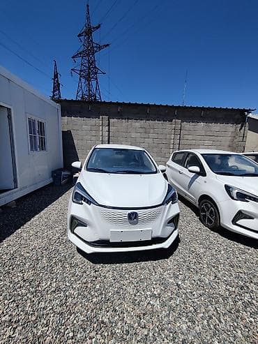 Changan Benni: 2024 г., 0.1 л, Автомат, Электромобиль, Хэтчбэк