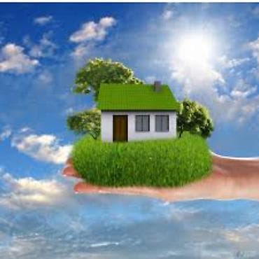 ото шашылыш: 5 соток — 3