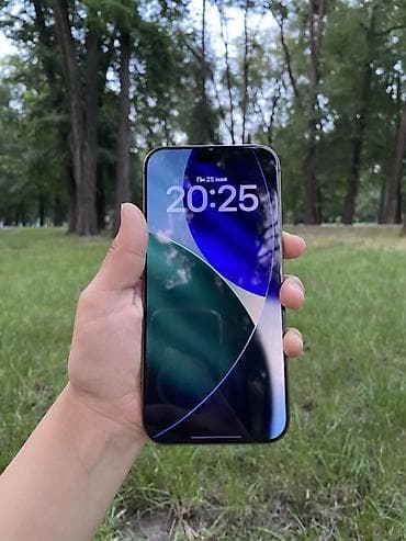 apple whatch se: IPhone 16 Pro Max, 256 ГБ, Золотой, 90 % — 2
