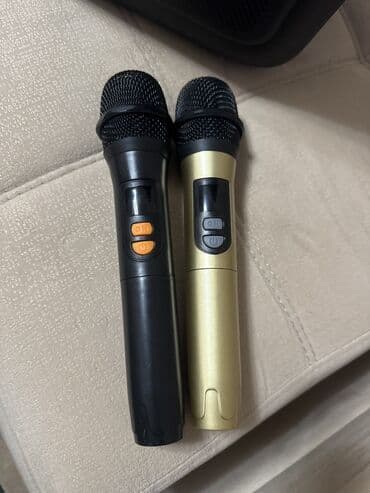 Другая аудиотехника: Колонка с двумя микрофонами. Подключение по блютуз и разъем для USB — 2