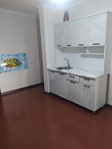 квартира гойин: 1 комната, Без мебели — 3