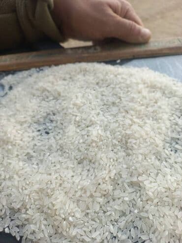 рисовые отруби: Рис круглый, күрүч Рис шлифованный в упаковках по 25 кг. Доставка с — 4