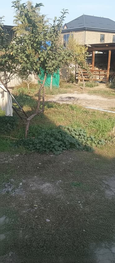 пол дома бишкеке: 6 соток, Для строительства, Красная книга, Тех паспорт, Договор купли-продажи — 1