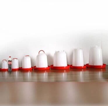 поилки для цыплят: Поилки, кормушки для цыплят оптом и в розницу . Разных размеров — 1