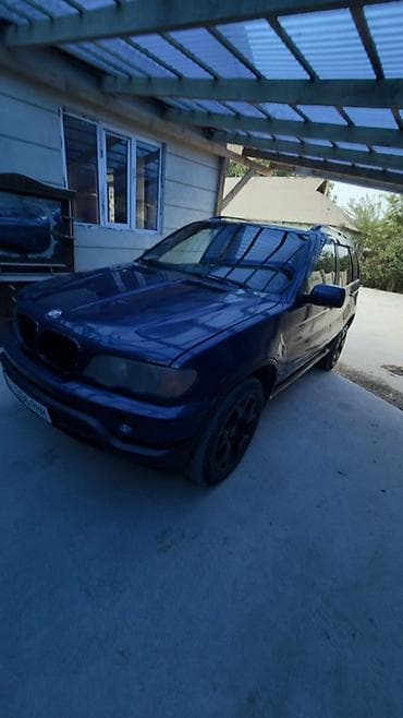 белый вельтмейстер ех5: BMW X5: 2002 г., 3 л, Автомат, Бензин, Кроссовер — 2