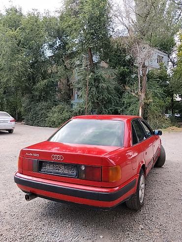 Audi 100: 1991 г., 2.3 л, Кол менен иштөөчү, Газ, Седан — 5
