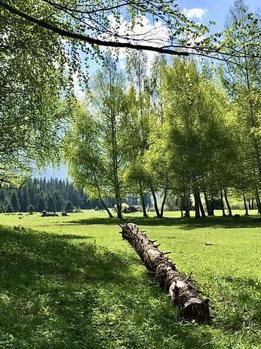 Jetour: 🌄 Откройте для себя дикие красоты с нашими джип-турами по горам! 🌄 — 5