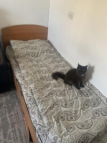 Прямые диваны: Прямой диван — 2