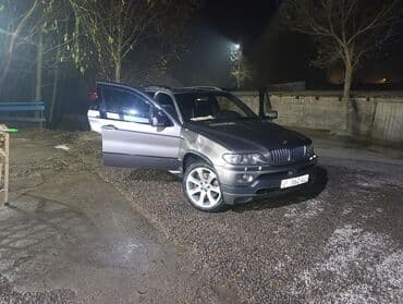 тракторы шина: BMW X5: 2005 г., 4.8 л, Автомат, Бензиновая, Кроссовер — 12