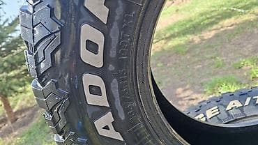 Шины: Шины — 2