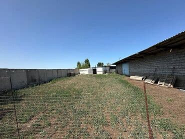 продажа домов сокулуке: Продаю Ферма КРС, 90 соток, С оборудованием, Электричество, Канализация, Отопление — 6