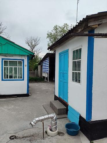 электричества: Дом с двориком и надворными постройками - Участок с широкими — 5