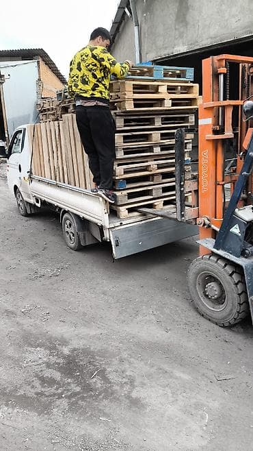 купить ростового медведя: Куплю поддон. куплю паллет. Бу поддон бу паллет алам. в любом — 2