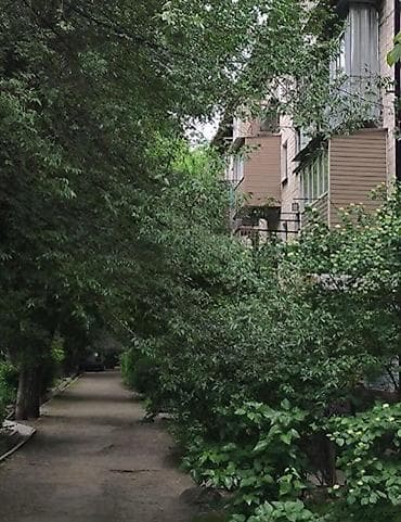 Недвижимость: 2 комнаты, 35 м², Политех Хрущевка, 4 этаж, Свежий ремонт — 4