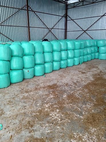 куплю кукуруза для силоса: Силос в тюках (рулонная упаковка) - Корм для КРС, овец, коз и лошадей — 4