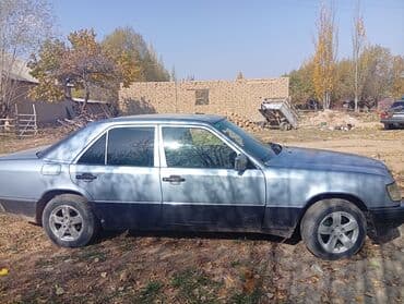 Mercedes-Benz W124: 1991 г., 2.3 л, Механика, Бензин