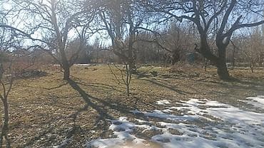 ленинская: 22 соток, Для строительства, Красная книга — 5