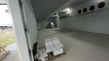 ремонт витрин: Холодильный склад с рампой и оборудованием 130квадрат метр — 7