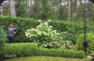 Уборка территории, Уборка двора и сада
