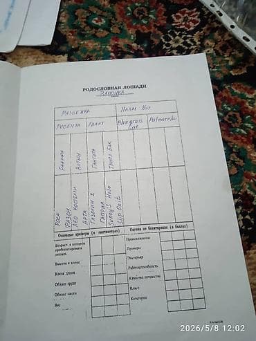 Животные: Продаю | Кобыла (самка) | Английская | Для разведения | Племенные — 10