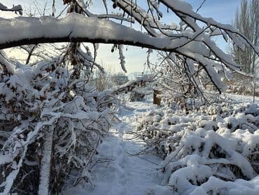 кок жар дома с ремонтом: Үй, 75 м², 4 бөлмө, Менчик ээси, Евро оңдоо — 10