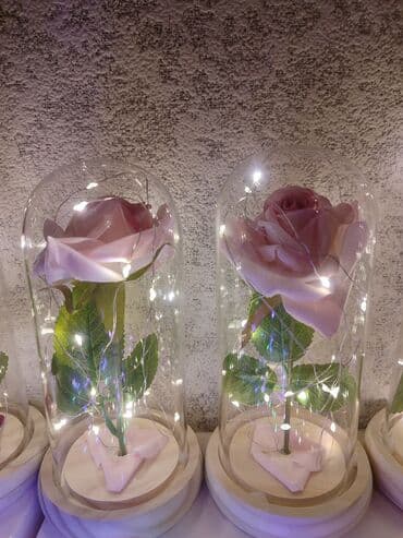 саженцы роз оптом: «Роза в колбе» — стильный декоративный светильник с тёплой — 3