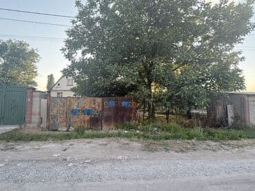 продаю ель: Дрова Орех, Самовывоз — 2