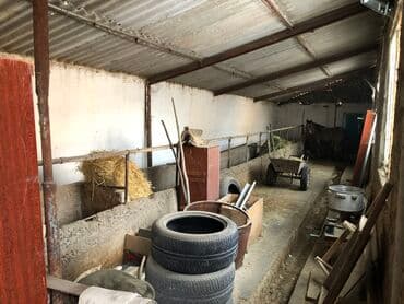 Үйдү ижарага алам: Үй, 200 м², 4 бөлмө — 6