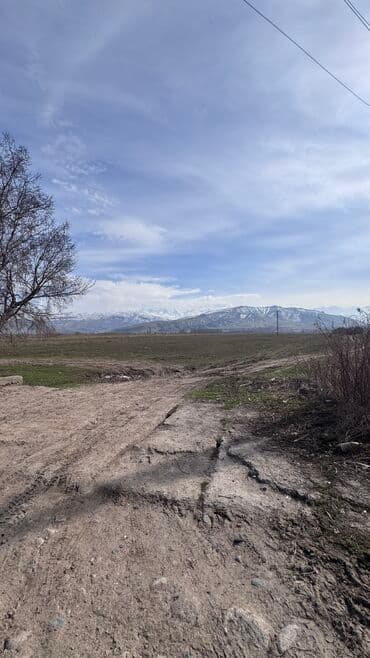 ишу земельный дом кок жар: 385 соток, Для сельского хозяйства, Договор дарения — 4