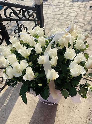 Ёлки: Большая композиция из белых роз в дизайнерском боксе - Состав — 2