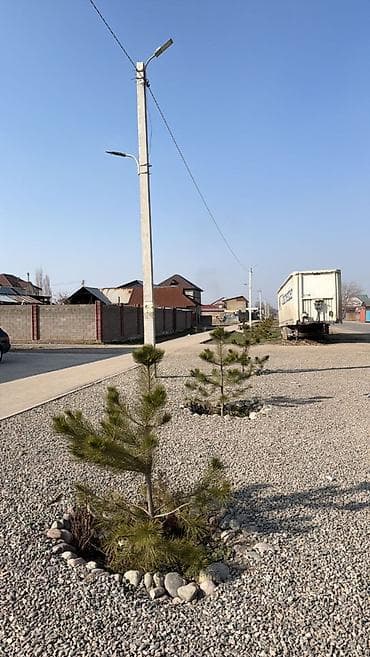 индийский магазин бишкек: Продажа магазинов Отдельностоящий магазин, 280 м², Свежий ремонт, С оборудованием, 1 этаж — 7