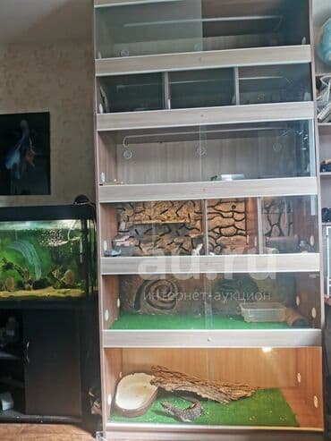 на железных номерах: Стеллаж для рептилий изготовление под заказ стеллажи для рептилий — 1