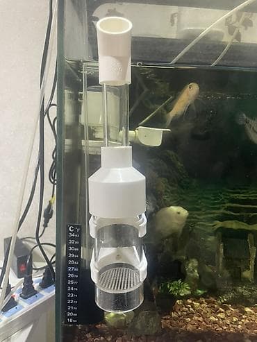 Животные: Аквариумный комплект для дома/офиса - Стеклянный аквариум — 3