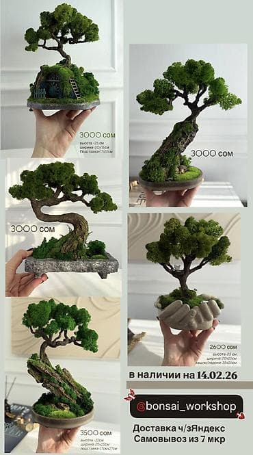 мини аквариум купить: Миниатюрные ДЕРЕВЬЯ Бонсай из стабилизированного мха — это стильная — 4