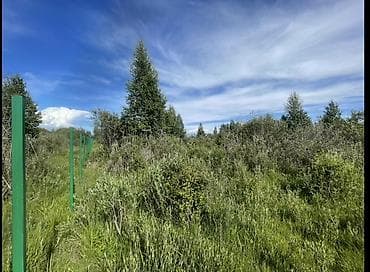 купить дом в константиновке: 30 соток, Для строительства, Красная книга, Договор купли-продажи — 2