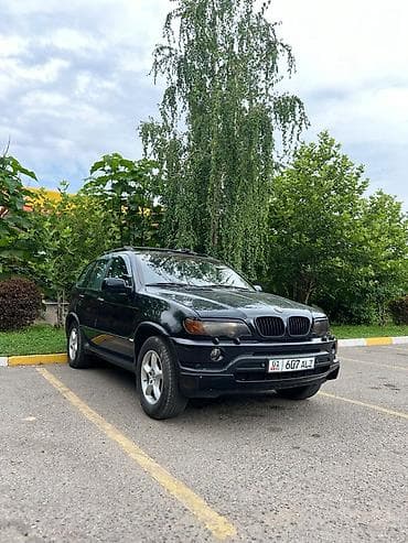 купить bmw x5: BMW X5: 2003 г., 3 л, Автомат, Бензин, Кроссовер — 1