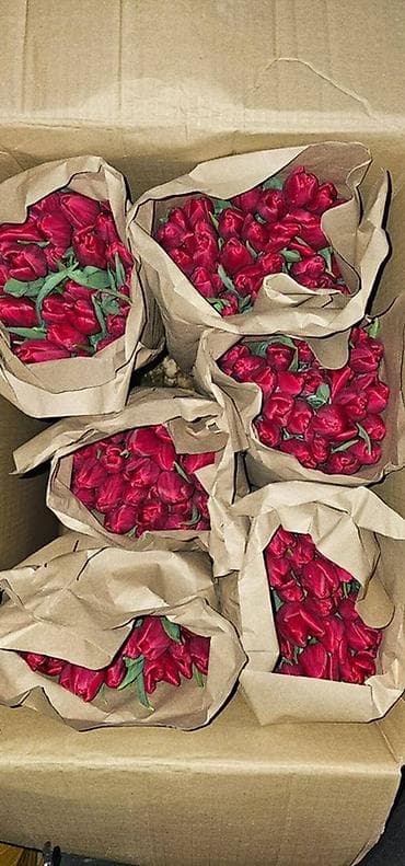 цветы не дорого: В наличии Тюльпаны🌷💐 имеются в ярких и разных цветах . также есть — 1