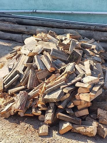 лес на дрова: Дрова — 1