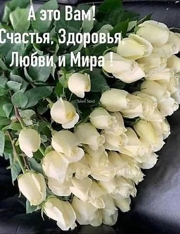 ванкомицин цена: Медсестра на дом! Опыт работы 15 лет капельница от 1000с выше, звоните — 1