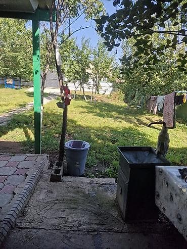 аренда дачи: Чистый воздух, рядом Ала-Арча парк (10 мин езды), до Бишкека 20-25 — 6