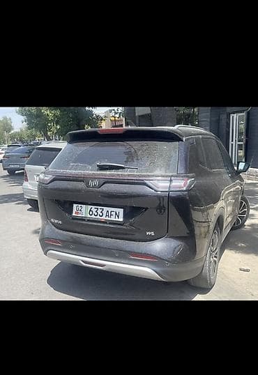 Weltmeister: Weltmeister W6, 2022 г., 65000 км, Алдыңкы, Бар — 6