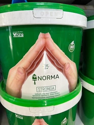 Внутренняя отделка: Краска Alina Norma Stronga в зелёном ведре объёмом 5 кг. Подходит для — 1