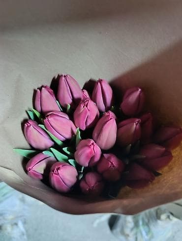 цветок молочай: Букеты из тюльпанов в крафтовой упаковке.за 1 штуку свежие с грядки — 7