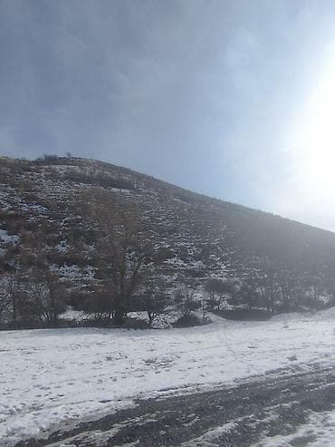 1 ком куплю: 150 соток, Для сельского хозяйства, Красная книга — 8