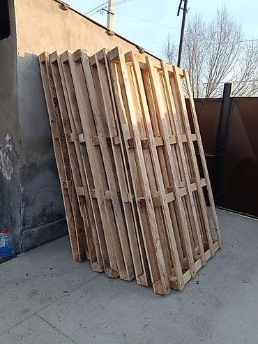 Продаю | Овца (самка), Ягненок, Баран (самец) | Гиссарская, Полукровка, Долан | На забой, Для разведения, Для шерсти | Племенные, Котные, Осеменитель