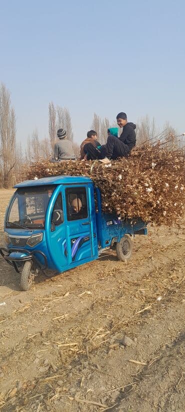 шины бу бишкек оптом: Легкий грузовик, Стандарт, До 1 т, Б/у — 4