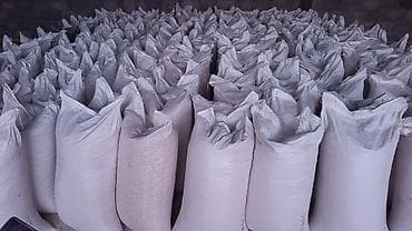 косим кукурузу: Кукуруза фуражная в мешках - Зерно кукурузы, сухое, очищенное, без — 1