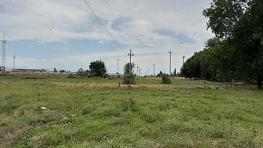 шопок: 150 соток, Для бизнеса, Договор купли-продажи — 8