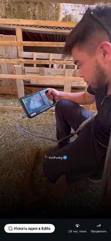 Услуги ветеринара: Быстрые онлайн‑консультации ветеринара VetPro KG 24/7 Что предлагаем — 3